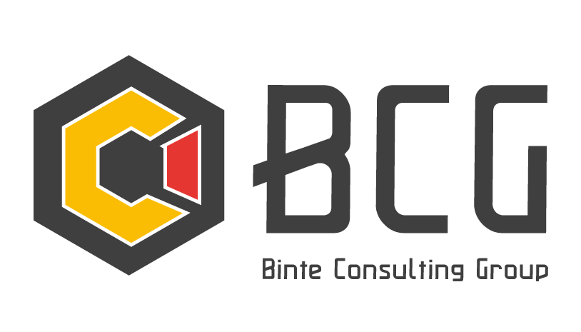 Binte Consulting